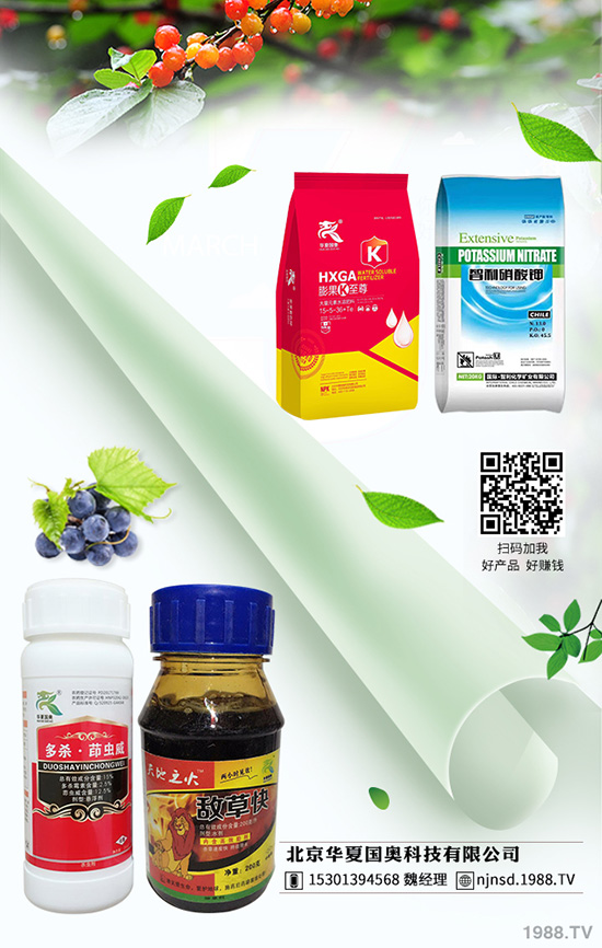 �������x(ch��ng) �������x(ch��ng)ˎ