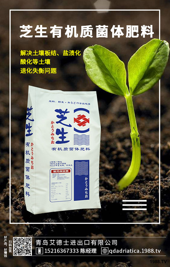 ��������Щ�I(y��ng)�B(y��ng)�r(ji��)ֵ�����ҵĹ�Ч�c������ʲô������xُ(g��u)��