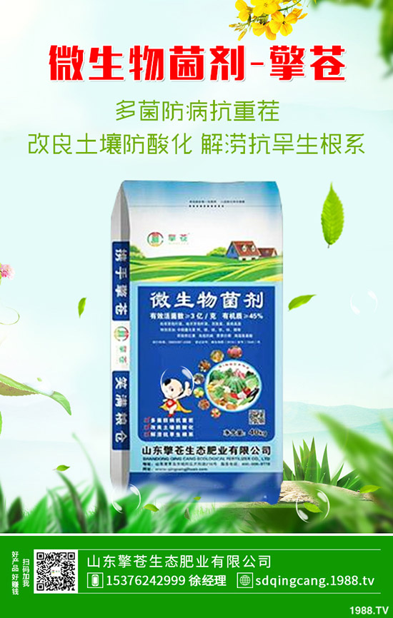     2020��1��1�ն��@��������һ�㣡�r��(w��n)��ƫ���\����