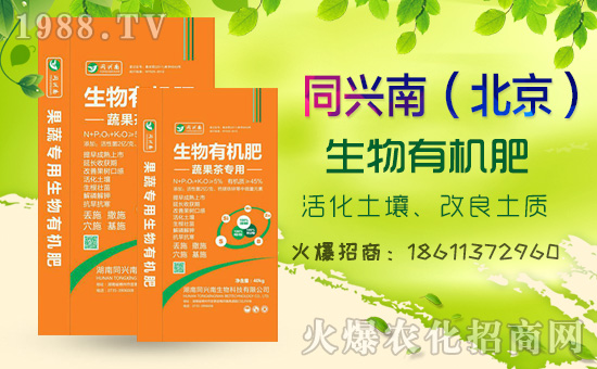     2020⛷ʃr���߄���������������߄��A(y��)�y��