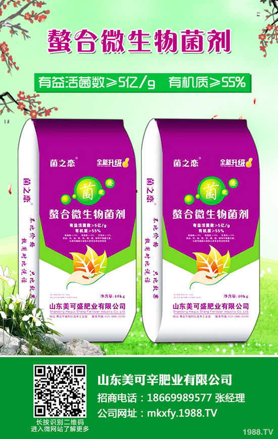     2020�����؃r�������߄�����������Xһ����