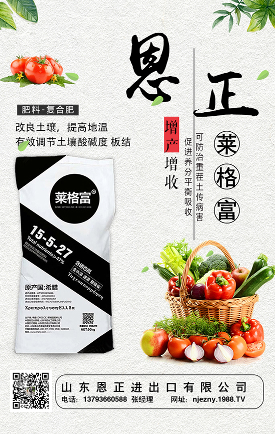 油麥菜想高產(chǎn),科學施肥技術管理不可少!