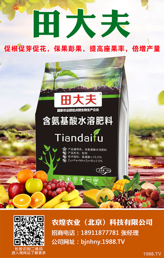 �Nֲʲôˮ����(hu��)ٍ�X��2020��ˮ���Nֲָ��