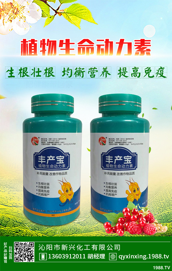 ���Ӳ��ܷN�ô�ײ�����ײ˸߮a(ch��n)�Nֲ���g(sh��)Ҫ�c(di��n)