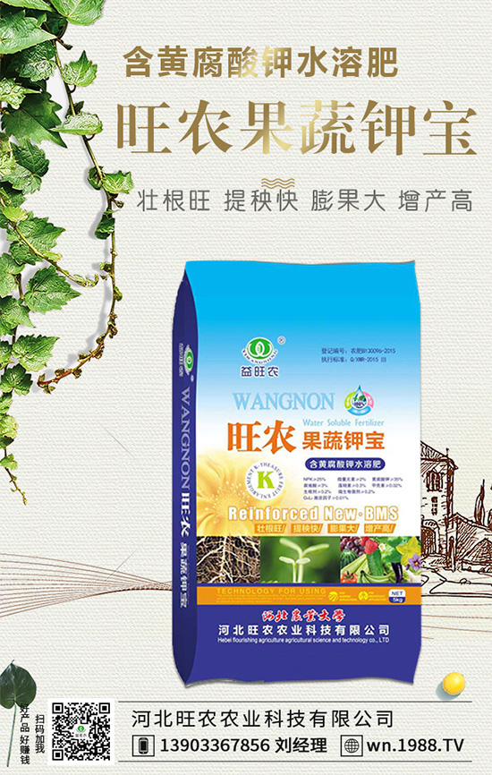 ���������L��������Щ���������B(y��ng)�oҪ�c��