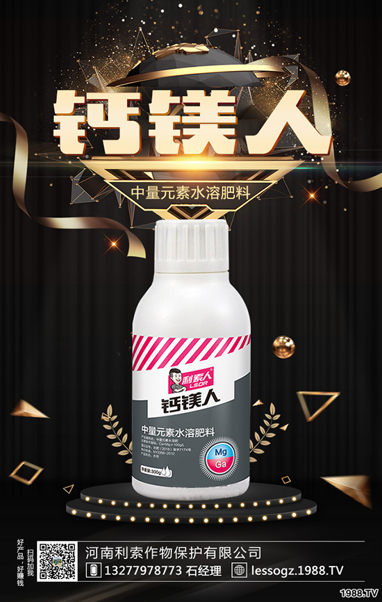 白菜價格多少錢一斤?白菜畝產(chǎn)多少斤?種植前景怎么樣?