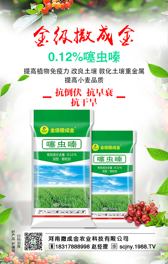 ���ˠI�B(y��ng)�S�������S��������ʩ�ʺ���Ҫ