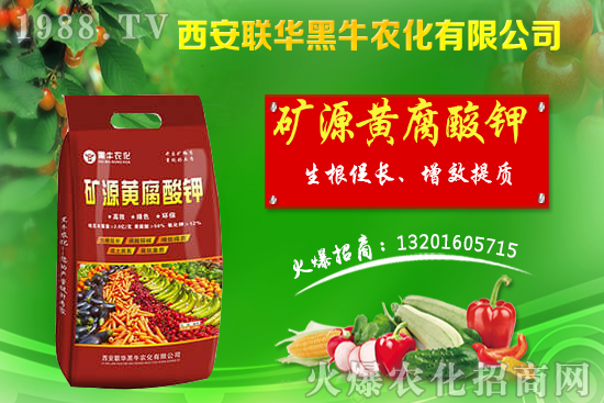 秋季果樹該如何管理?秋季果樹管理應(yīng)避免的四大誤區(qū)!