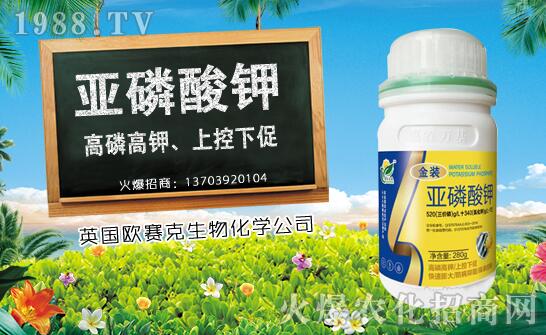 ľ��ʲô�r(sh��)��Nֲ��ľ�ϷNֲ�r(sh��)�g���Nֲ���g(sh��)Ҫ�c(di��n)��