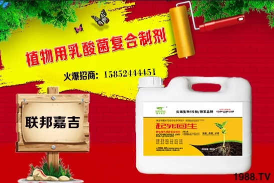 大蔥生長條件有哪些?大蔥需肥特點(diǎn)及秋季管理!