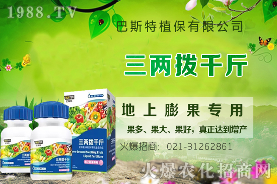 Ӱ�ţϥ��ϵ�����L(zh��ng)��������Щ��ţϥ����������ʲô�~��ʣ�