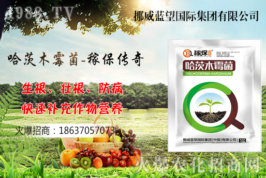 收獲后的小麥如何儲存呢?小麥儲藏關(guān)鍵點管理!