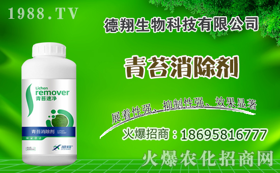 �Ͳ�ʲô�r�g�Nֲ���Ͳ˷Nֲ������ʲô������Щע�������