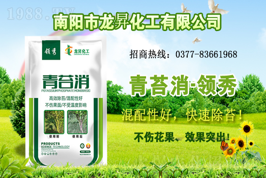 �󶹹����������r����m(x��)�ϝq�����ش󶹃r������