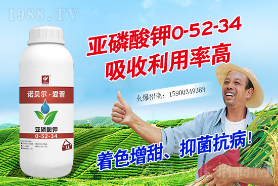 2020��11��18��С���r(ji��)������