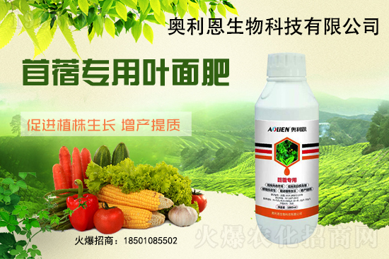 ��ޣԽ������ôʩ����ޣ��ʩ�ʹ���