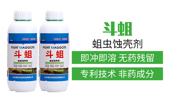 蛆蟲蝕殼劑-斗蛆-強農(nóng)生物_04