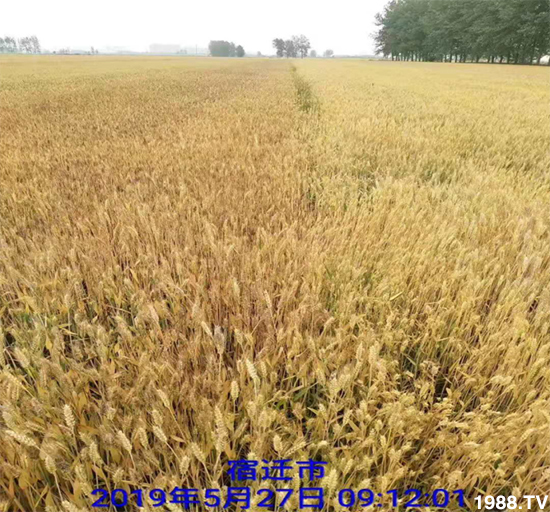 С����ù��Σ�����c(di��n)������С����ù����ʲôˎ��