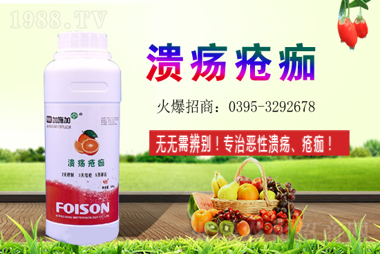 2021��ʯ��Nֲ���������ʯ�������(r��n)ǰ����ô����