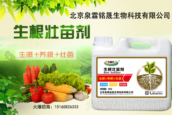 һ���y����2020-11-25�|�����ϝqѸ��