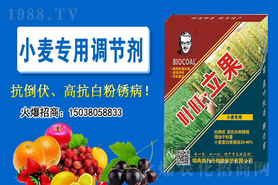 С���r(ji��)��������ϝq��2020-11-26С���r(ji��)������