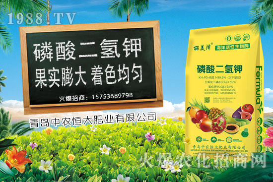 ����С���r���ϝq�������Ƿ�����m(x��)�ϝq��