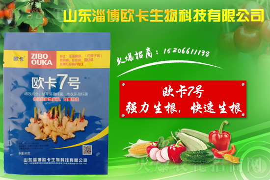 大姜爛脖子病是什么。看蠼獱脖子病用什么藥好防治