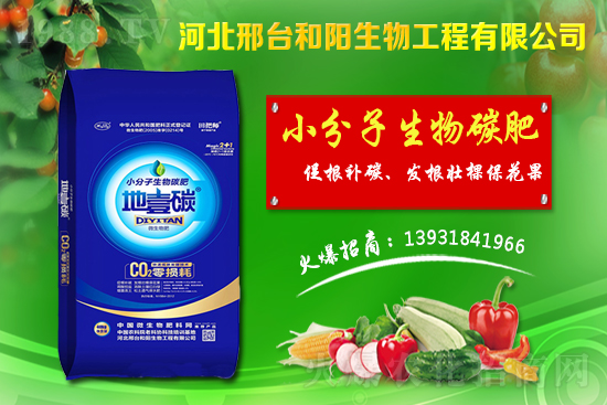 ����(ji��)ǰС���r��������q������С���r��������