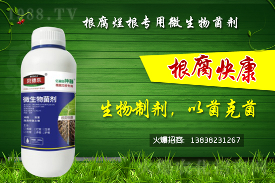 ΢������������θ�����������ô�x����