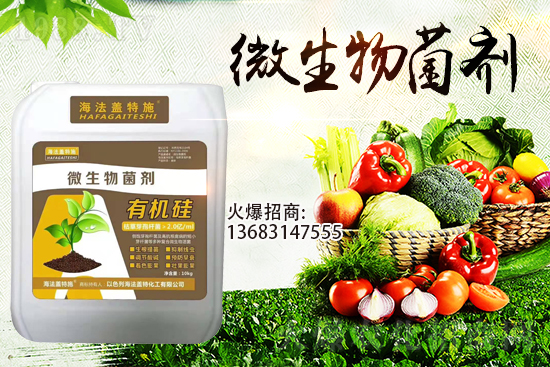 �������u��������m(x��)�͜�����������Ҫ�c(di��n)��