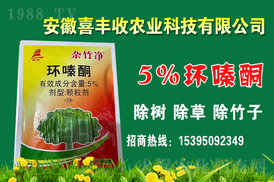 1    �h(hu��n)�ͪ�����ÙC(j��)������Щ��ԓ��Ώ�(f��)�����h(hu��n)�ͪ�m�����Ｐ��(y��ng)�÷�����