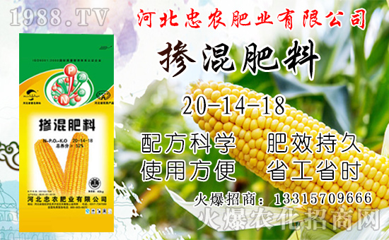 ���׃r(ji��)��