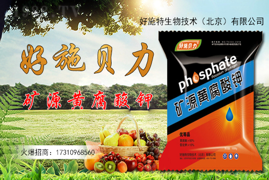 �󽪶����Xһ�����󽪷Nֲǰ������������Nֲ���g(sh��)��