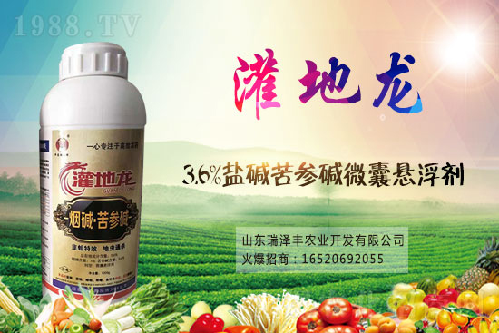 ���ͪ?d��)��x���r���߄�2020.12.30