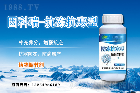 ���յ��ȃr(ji��)������Xһ����2020��12��9�յ��ȃr(ji��)������