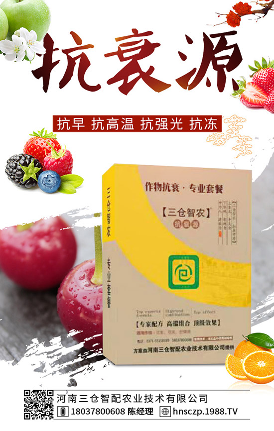 ���·��m�ϷNֲʲô�߲ˣ����·��߲˷Nֲע�������