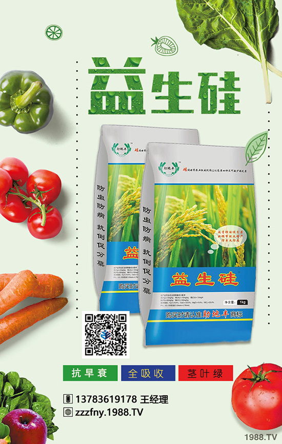 春季韭菜施肥如何施撒？怎樣合理呢？