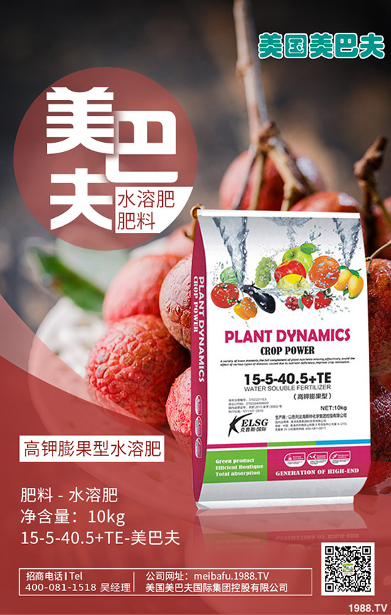     ��С���M(j��n)��������ι�����С���������c(di��n)��ע�����(xi��ng)��