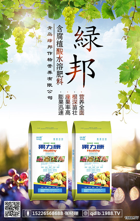 春季菠菜怎樣施肥好?種植菠菜如何科學(xué)施肥