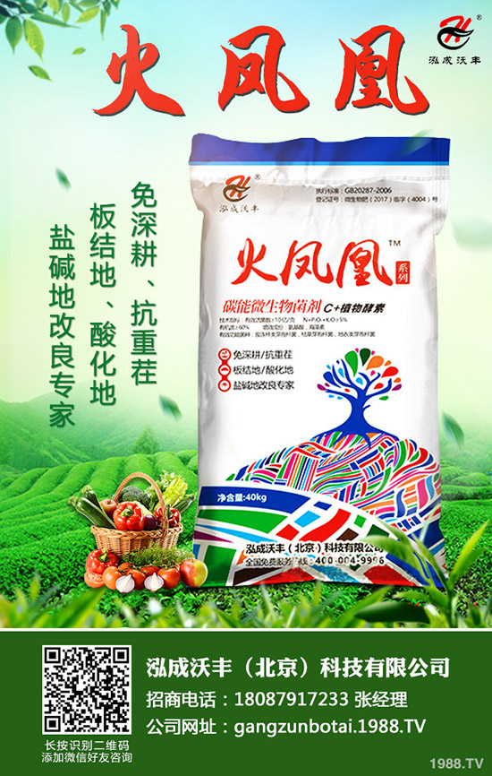 ��Ҋ�������ɺ��x����Щ���������ɺ��x���������