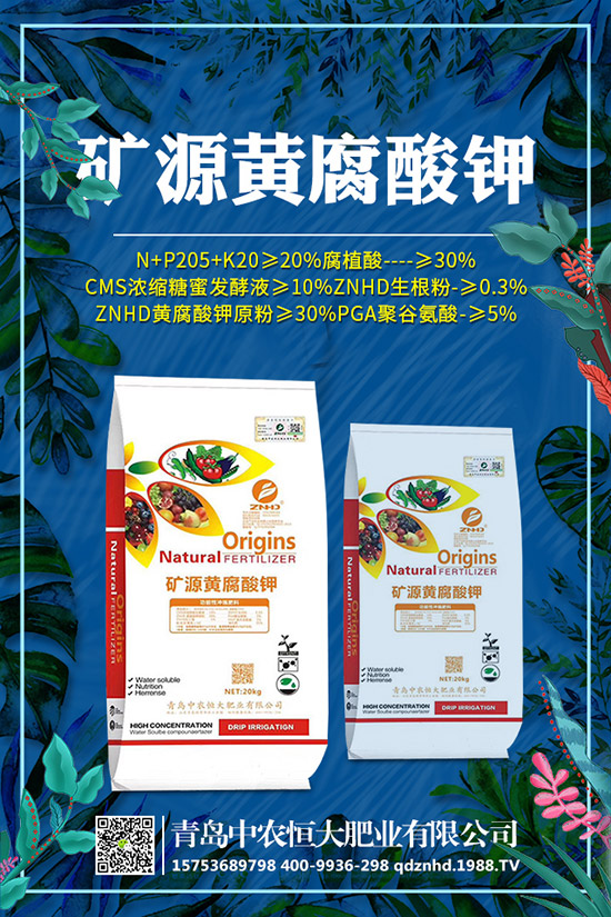 �紺���˷Nֲ���g(sh��)����Щ�����g����Ҫע��ʲô��