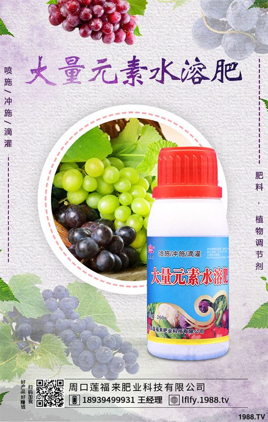 �Q��ԓ��ô�N���Q���ķNֲ���g(sh��)����������Ҫ�c(di��n)