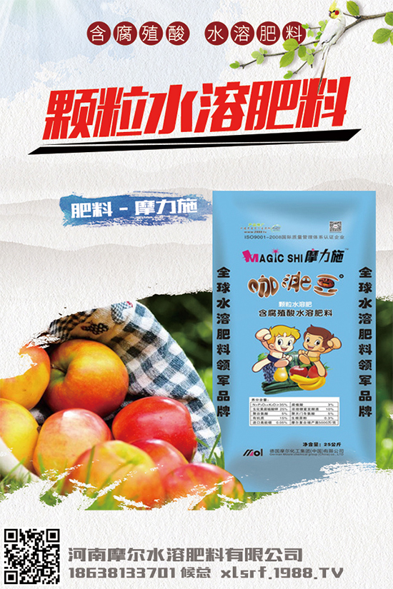 �Nֲ���g(sh��)���X����2020���g(sh��)�Nֲǰ����Ч�����