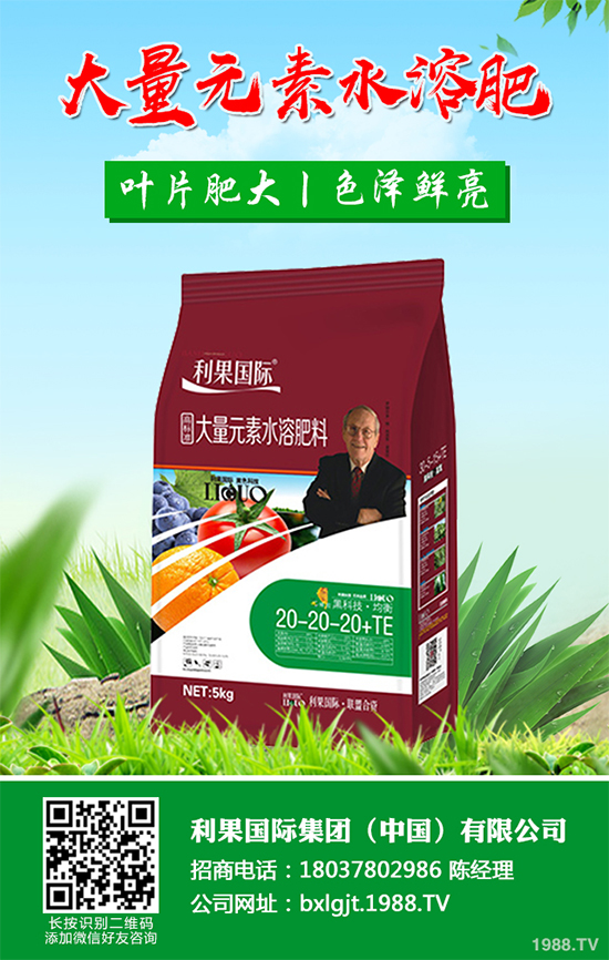 ���y���Nֲǰ�������2020���y���ķNֲǰ����Ч�����