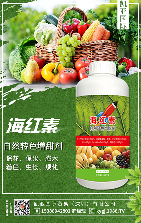 �����}��ʲô�r�g�Nֲ�������}���Nֲ������