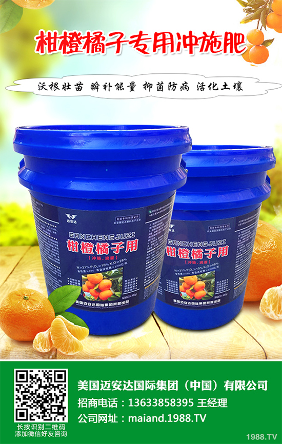 花椒樹該如何種植?三步幫你輕松種出高產(chǎn)花椒!