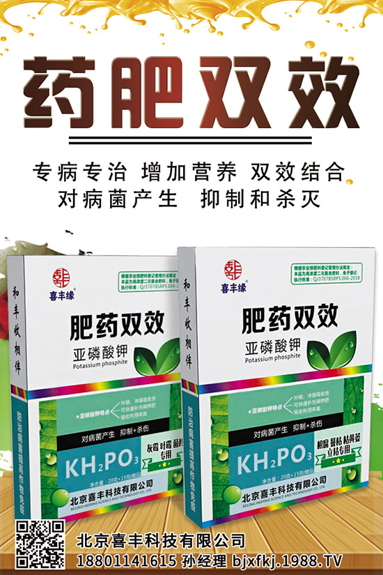 西蘭花施肥管理技術(shù)有哪些,這些一定要看!