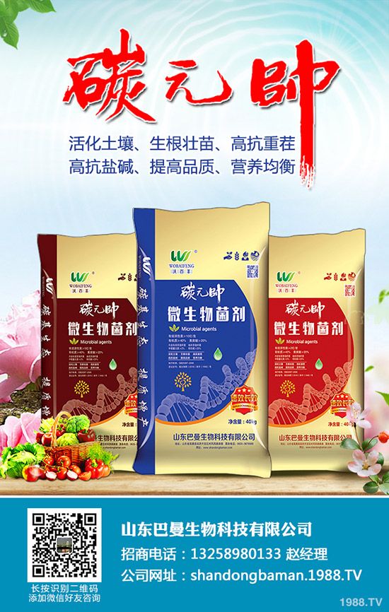     ⛷ʃr�����л��䣡2020��3��28�ս�������⛷����������