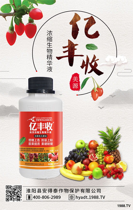 ���Ҙ����zʲô�Y�������Ҙ����z��ô������