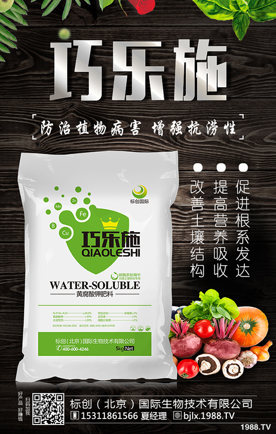 �˄�(chu��ng)�����������H���＼�g(sh��)���޹�˾